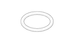 DORNBRACHT WSS O-Ring 21,89 x 2,62 mm