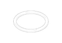 DORNBRACHT WSS O-Ring EPDM 70 18,6 x 2,0 mm