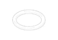 DORNBRACHT WSS O-Ring 17,12 x 2,62 mm
