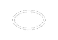 DORNBRACHT WSS O-Ring EPDM 70 29,0 x 2,0 mm
