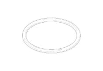 DORNBRACHT WSS O-Ring 22,0 x 1,6 mm