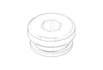 DORNBRACHT WSS Inverseur Ø 21 x 10 mm