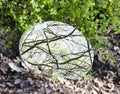 Mirover SG standaard miroir oval 5 mm - 700 x 500 mm
