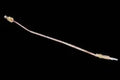 THERMOCOUPLE CHAFFOTEAUX (toutes les types)