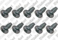 VAILLANT WSS Vis, (x10)