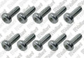 VAILLANT WSS Vis, (x10)
