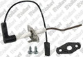 VAILLANT WSS Electrode de régulation