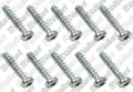 VAILLANT WSS Vis, (x10)