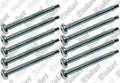 VAILLANT WSS Vis, (x10)