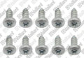 VAILLANT WSS Vis, (x10)