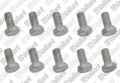 VAILLANT WSS Vis, M10x20, (x10)