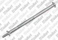 VAILLANT WSS Vis (longue)