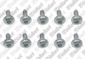 VAILLANT WSS Vis, (x10)