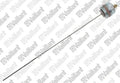 VAILLANT WSS Anode, à courant externe