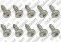 VAILLANT WSS Vis, (x10)