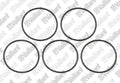 VAILLANT O-ring, (5 st.)