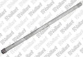 Vaillant WSS Anode (G1, L=642)