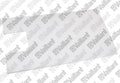 VAILLANT WSS Bandeau de protection