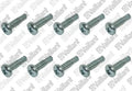 VAILLANT WSS Vis, (x10)