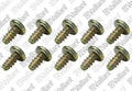 VAILLANT WSS Vis, (x10)