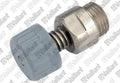 VAILLANT WSS Valve
