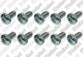 VAILLANT WSS Vis, (x10)