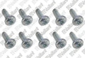 VAILLANT WSS Vis, (x10)
