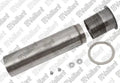 VAILLANT WSS Tube (brûleur)