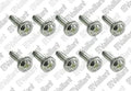 VAILLANT WSS Vis, (x10)