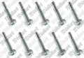 VAILLANT WSS Vis, (x10)