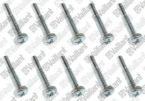 VAILLANT WSS Vis, (x10)