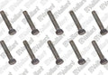 VAILLANT WSS Vis, (x10)