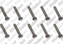 VAILLANT WSS Vis, (x10)