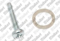 VAILLANT WSS Vis