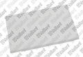 VAILLANT WSS Couvercle, régulateur (pro)
