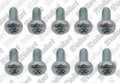 VAILLANT WSS Vis, (x10)