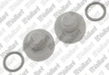 VAILLANT WSS Bouchon, (x2)
