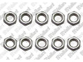 VAILLANT WSS Ecrou, (x10)