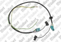 VAILLANT WSS Faisceau