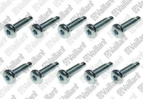 VAILLANT WSS Vis, (x10)