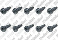VAILLANT WSS Vis, (x10)