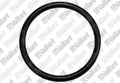 VAILLANT WSS Joint