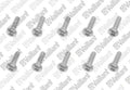 VAILLANT WSS Vis, (x10)