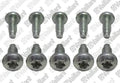 VAILLANT WSS Vis, (x10)