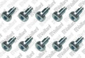 VAILLANT WSS Vis, (x10)
