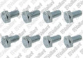 VAILLANT WSS Vis de bride, (x8)