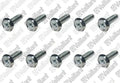 VAILLANT WSS Vis, (x10)