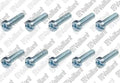 VAILLANT WSS Vis, (x10)