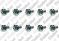VAILLANT WSS Vis, (x10)