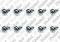 VAILLANT WSS Vis, (x10)